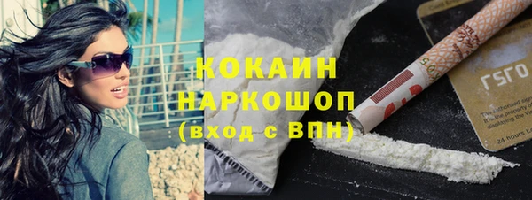 ГАЛЛЮЦИНОГЕННЫЕ ГРИБЫ Няндома