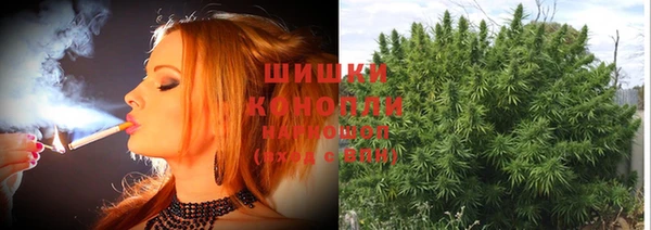 Альфа ПВП Нягань