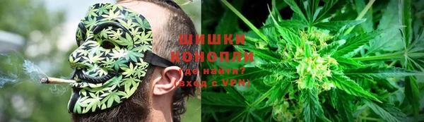 ГАЛЛЮЦИНОГЕННЫЕ ГРИБЫ Няндома