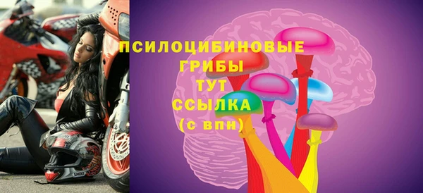 Альфа ПВП Нягань